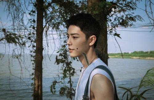 圈内爆料王一博肖战视频,幕后真相引热议  第3张