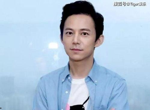 何炅圈内爆料,揭秘明星圈层真实面貌  第3张